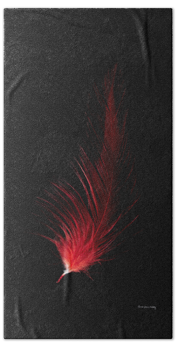 Black Bath Towel featuring the photograph Fiery Feather by Randi Grace Nilsberg