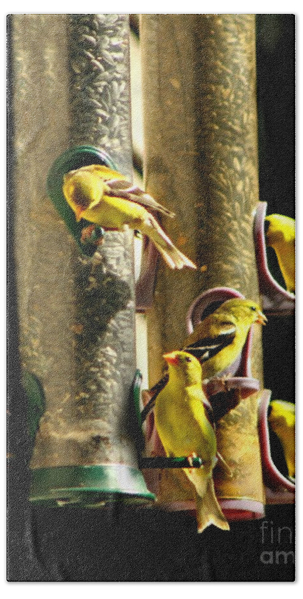 Birds Hand Towel featuring the photograph Finch Feeding Frenzie by Barbara S Nickerson
