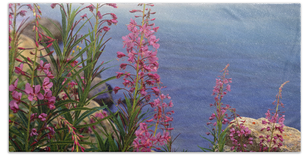00176685 Bath Towel featuring the photograph Fireweed Against Flowing Stream North by Tim Fitzharris