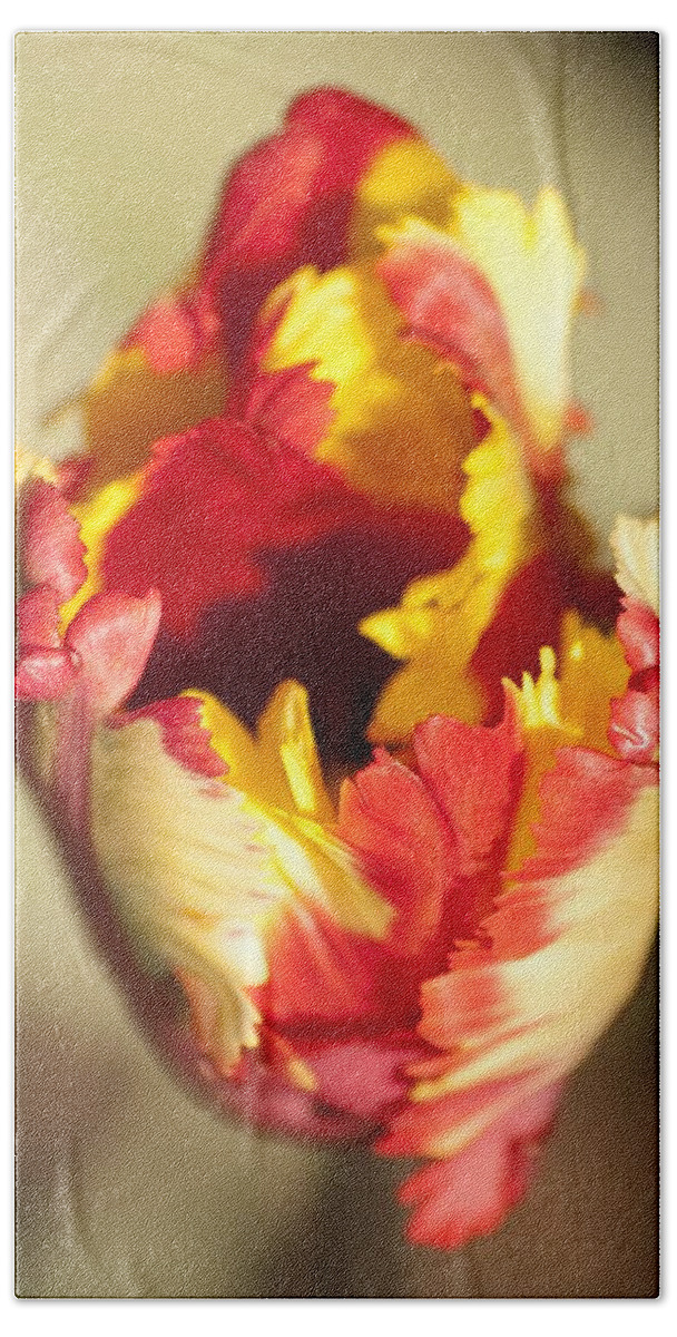 Flaming Parrot Tulip Bath Towel featuring the photograph Flaming Parrot by Brad Granger