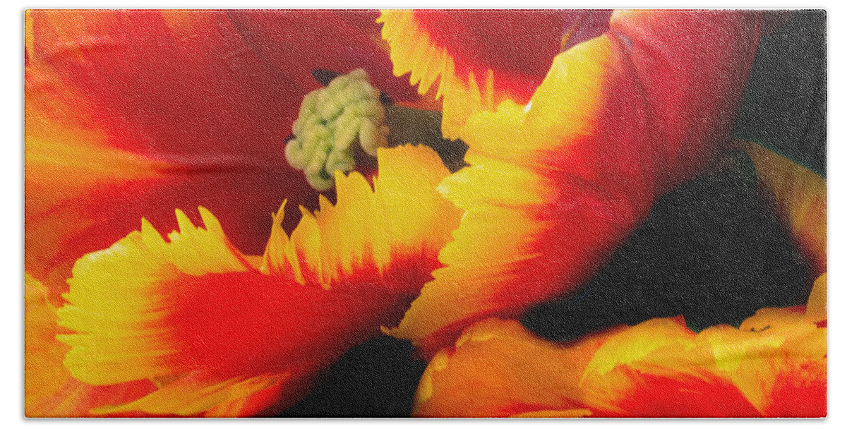 Flaming Parrot Bath Towel featuring the photograph Flaming Parrot Tulips by Joni Eskridge