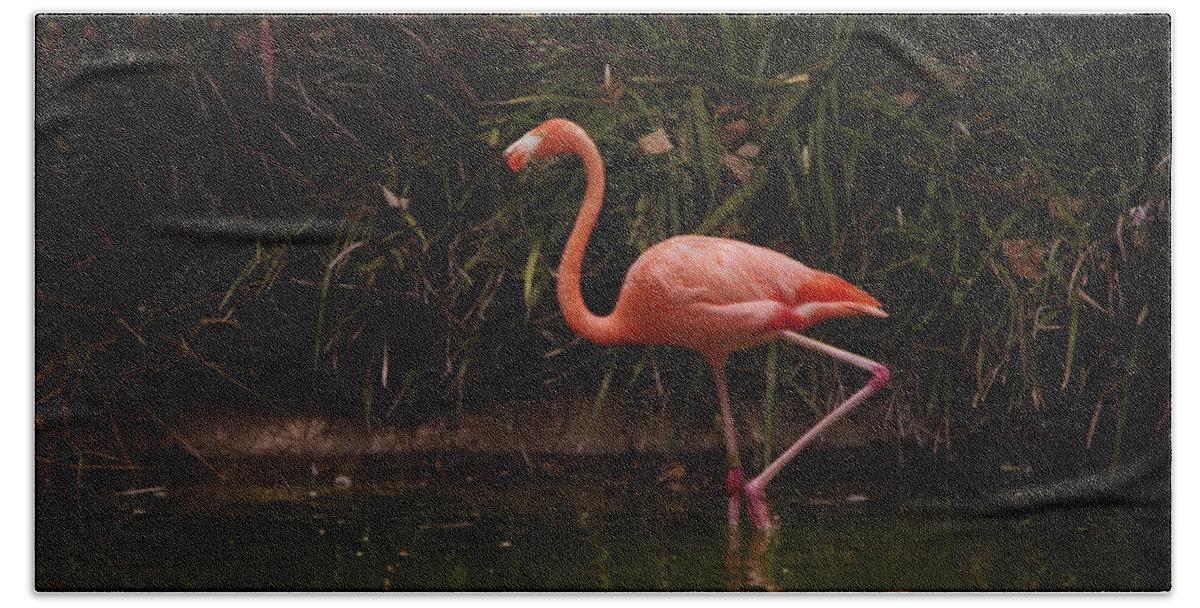 Flamingo Bath Towel featuring the photograph Flamingo 1 San Diego Zoo by Phyllis Spoor