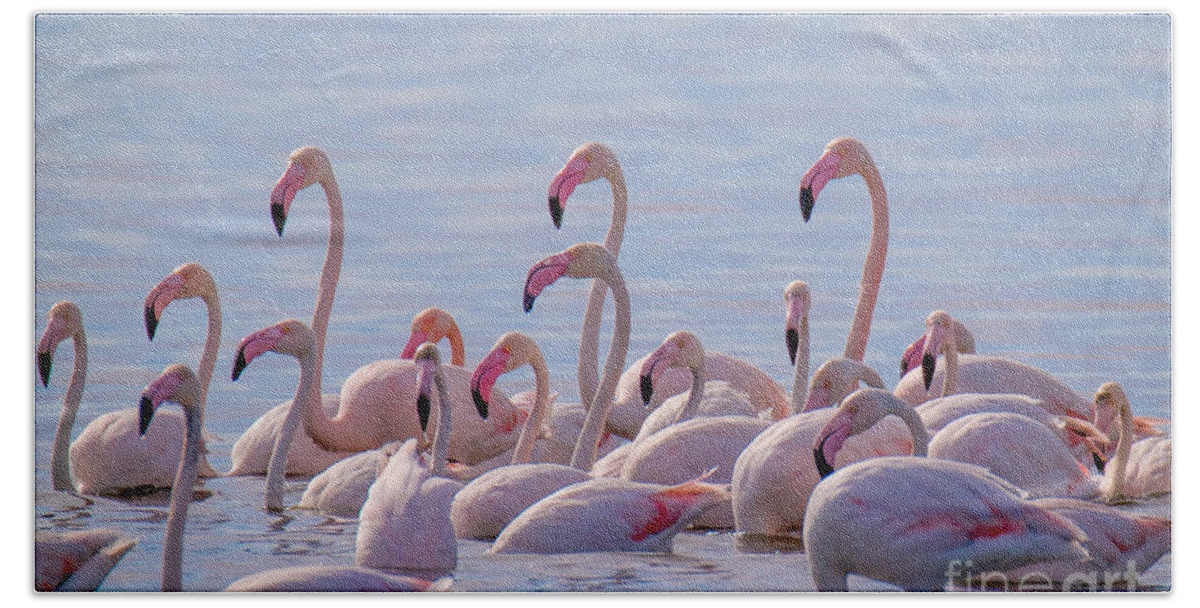 Animalia Bath Towel featuring the photograph Flamingo Family in Kalochori Lagoon Greece by Jivko Nakev