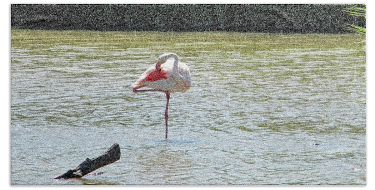 Flamingo Bath Towel featuring the photograph Flamingo by Manuela Constantin
