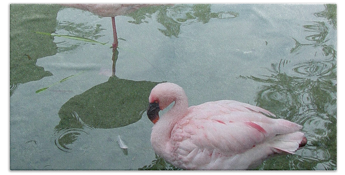 Wildlife Bath Towel featuring the photograph Flamingoes Posing by Shirley Heyn