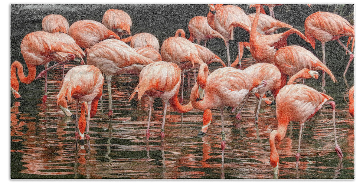 Flamingo Bath Towel featuring the photograph Flamingo looking for food by Pradeep Raja Prints