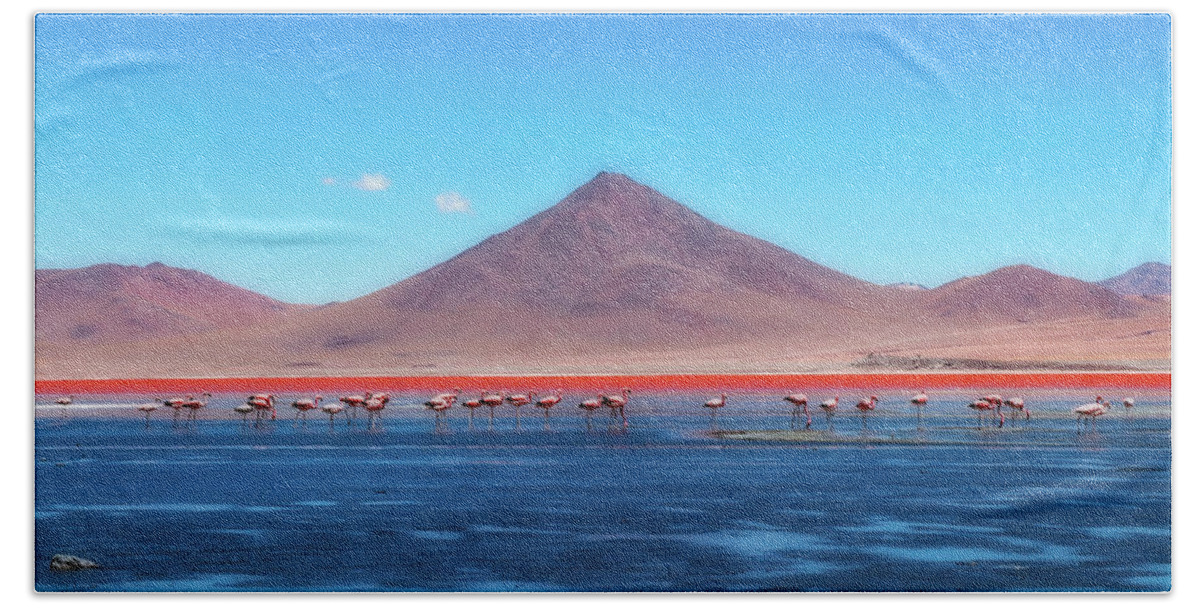 Bolivia Hand Towel featuring the photograph Flamingos Of Bolivia by Mountain Dreams