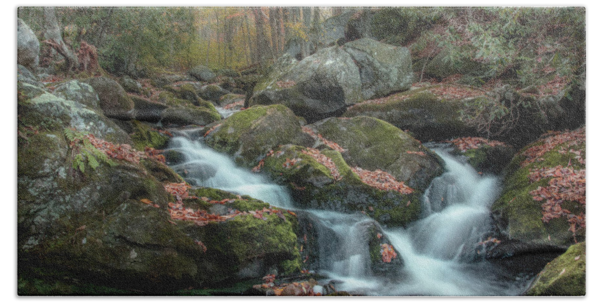 Fall Hand Towel featuring the photograph Fleeting Beauty by Mike Eingle