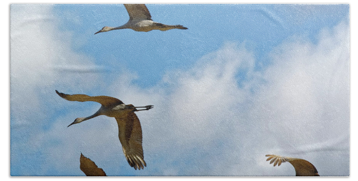 Cranes Bath Towel featuring the photograph Flight of the Cranes by Peter Ponzio