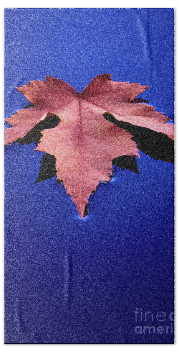 Floating Bath Towel featuring the photograph Floating Leaf 2 - Maple by Dean Birinyi