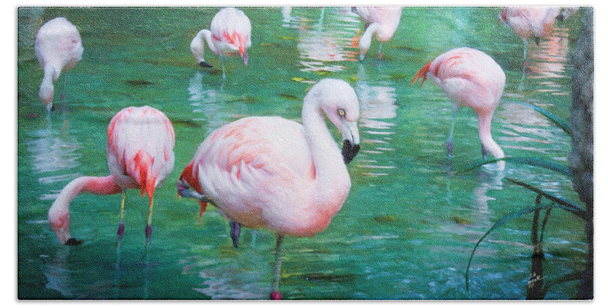 Flamingos Hand Towel featuring the photograph Flock of Flamingos by TK Goforth