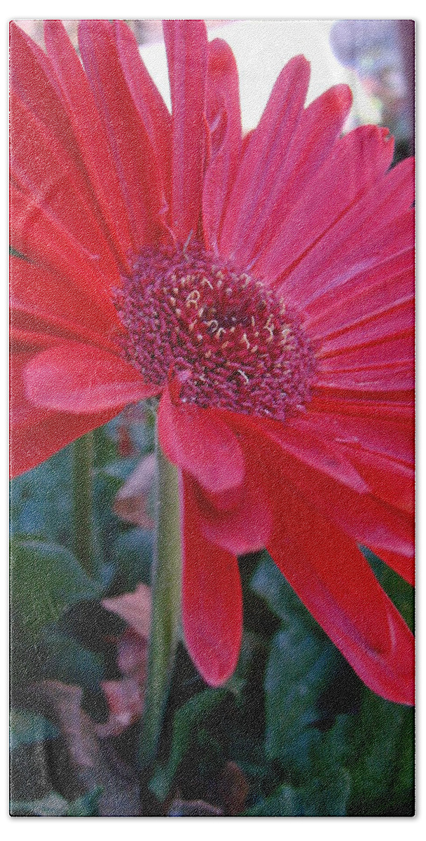 Red Bath Towel featuring the photograph Flora by Mary Halpin