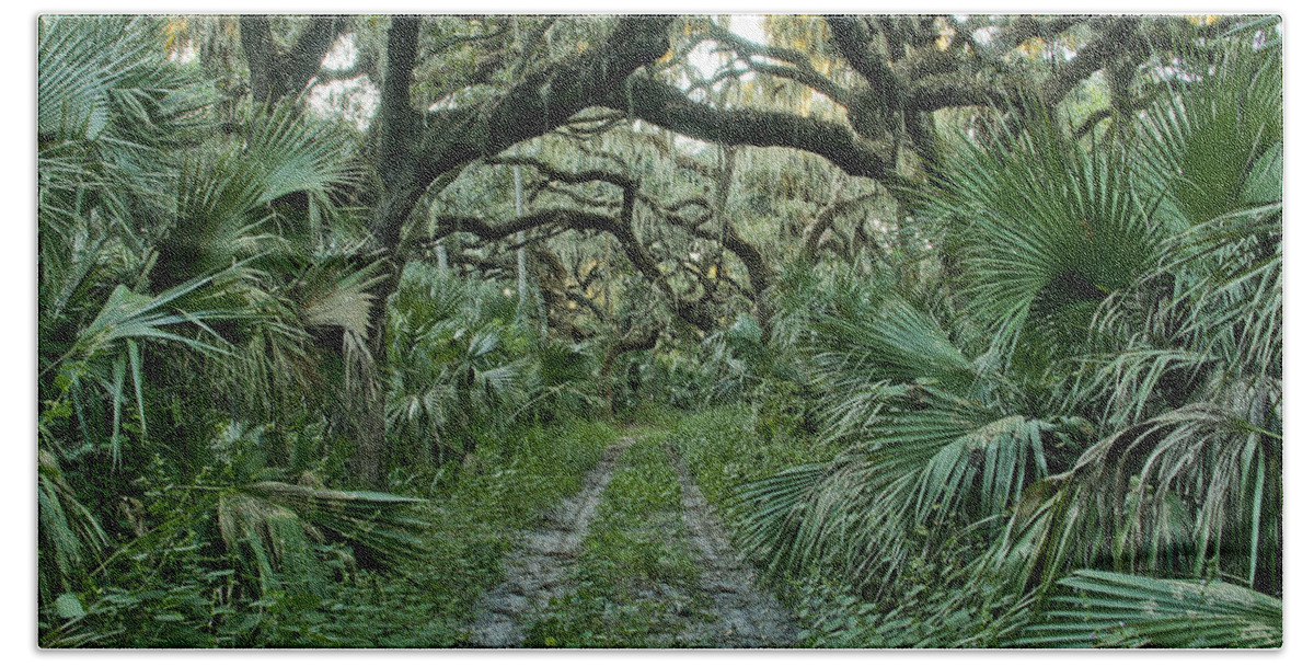 Spanish Moss Bath Towel featuring the photograph Florida Wilderness by Brian Kamprath