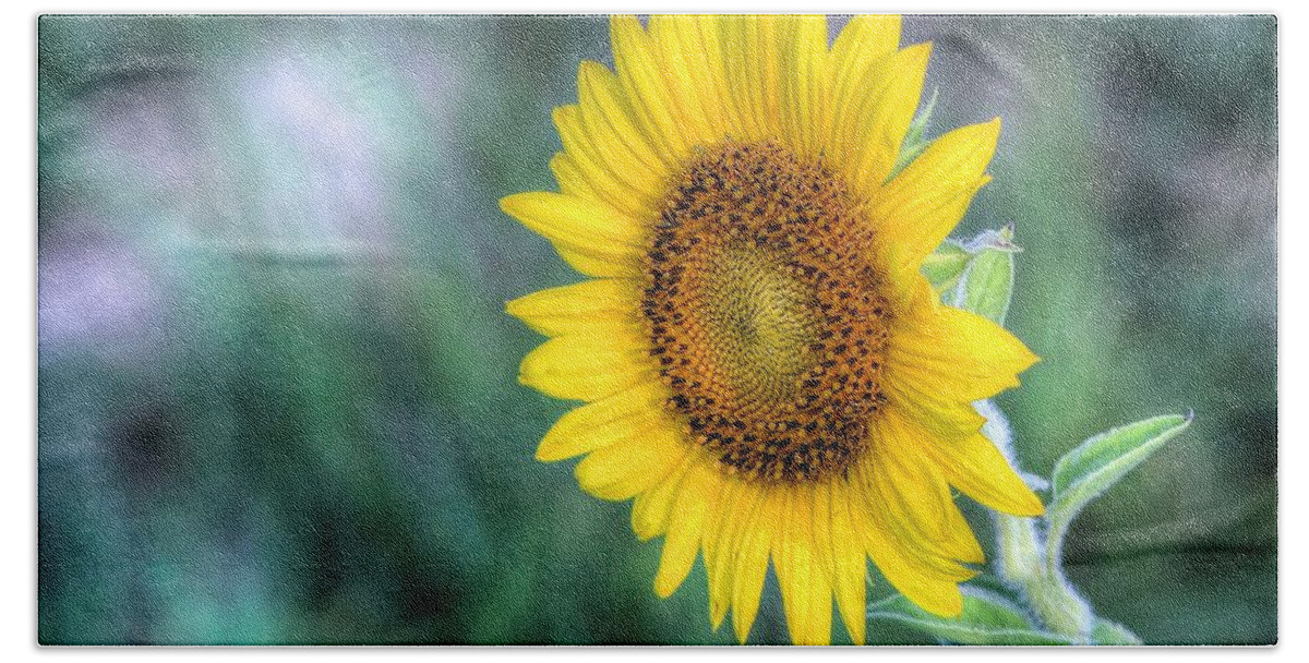 #sunflower Hand Towel featuring the photograph Flower #42 by Albert Fadel