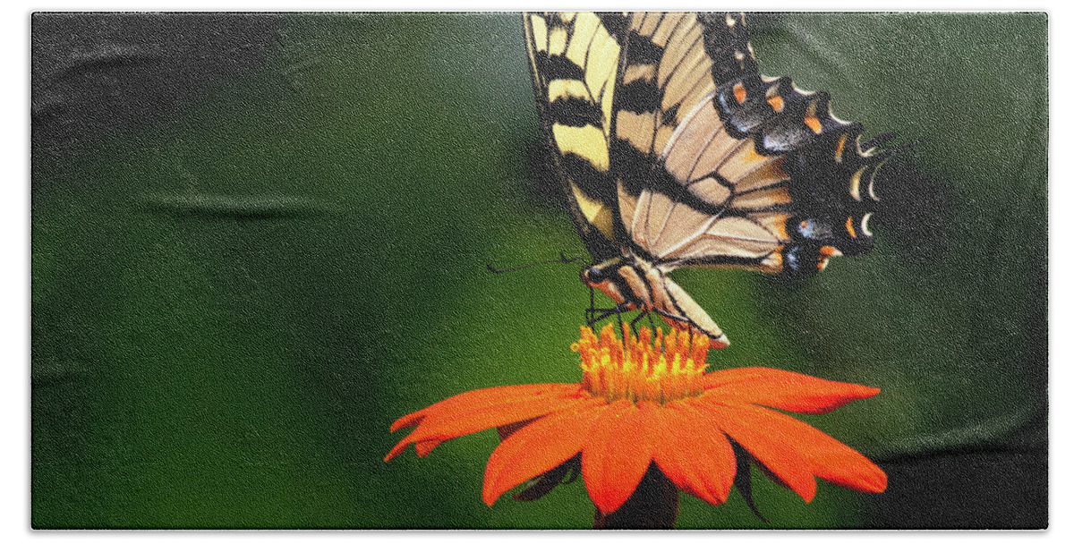 Butterfly Hand Towel featuring the photograph Flower Dance by Art Cole