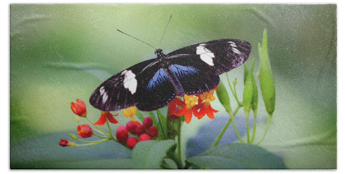 Butterfly Bath Towel featuring the photograph Flower Stop by Don Schwartz