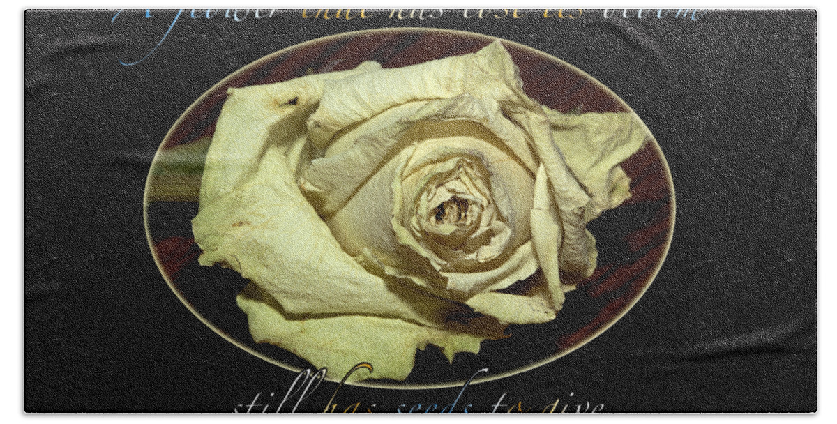Rose Bath Towel featuring the photograph Flower Wisdom by Phyllis Denton