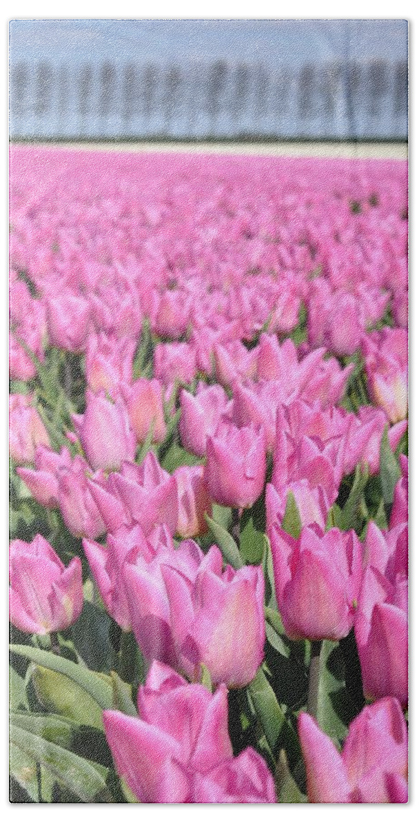 Flowerfields Bath Towel featuring the photograph Flowerfield with pink tulips by Eduard Meinema