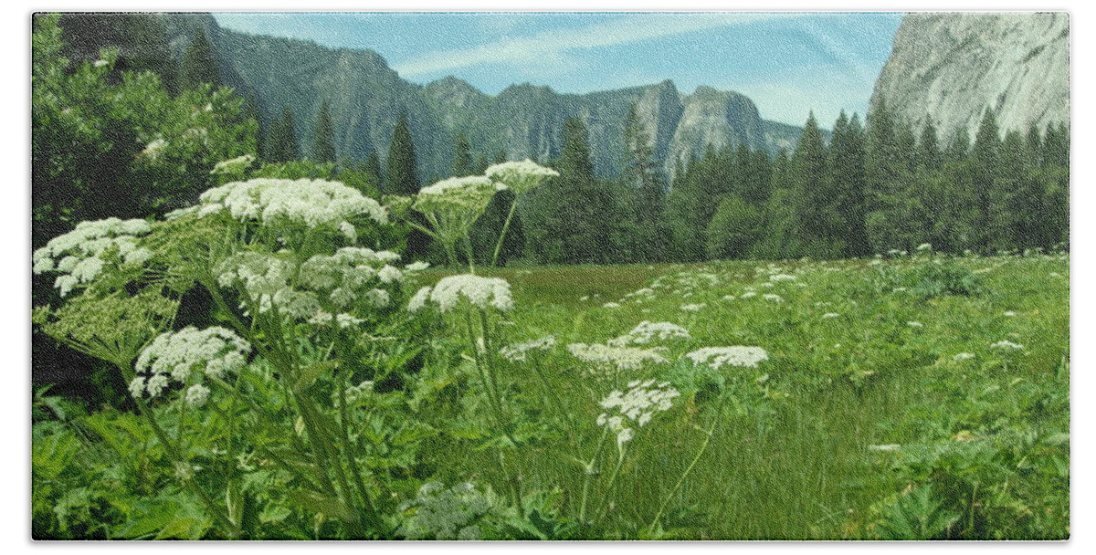 California Bath Towel featuring the photograph Flowers in the Valley by Cheryl Wallace