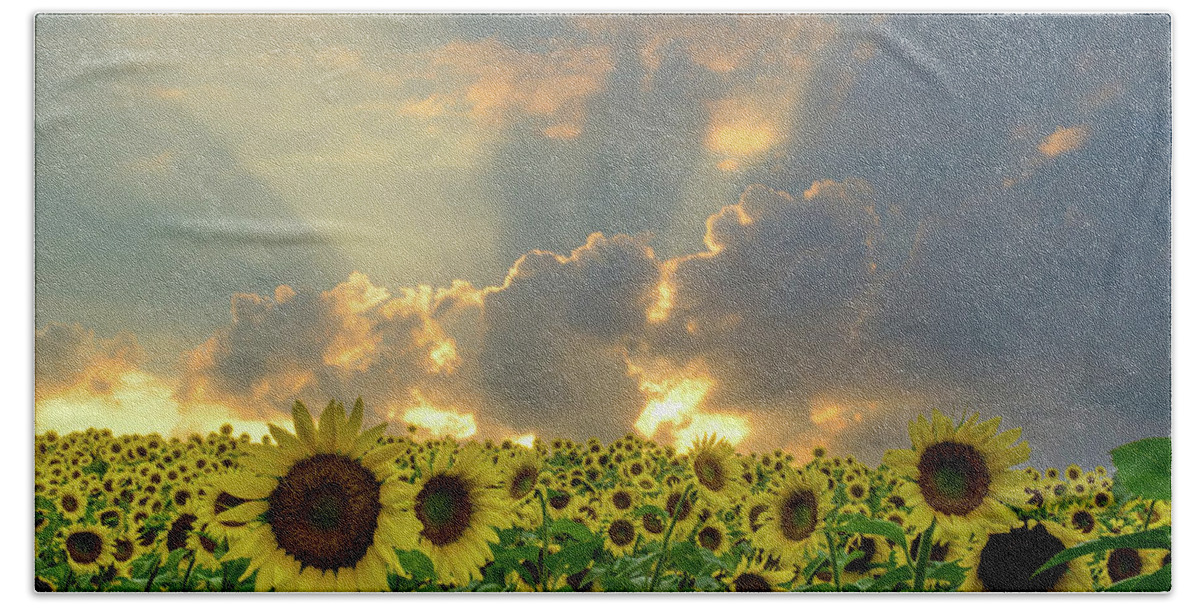 Sunflowers Hand Towel featuring the photograph FLOWERS, PILLARS AND RAYS, His Glory will Shine by Janice Adomeit