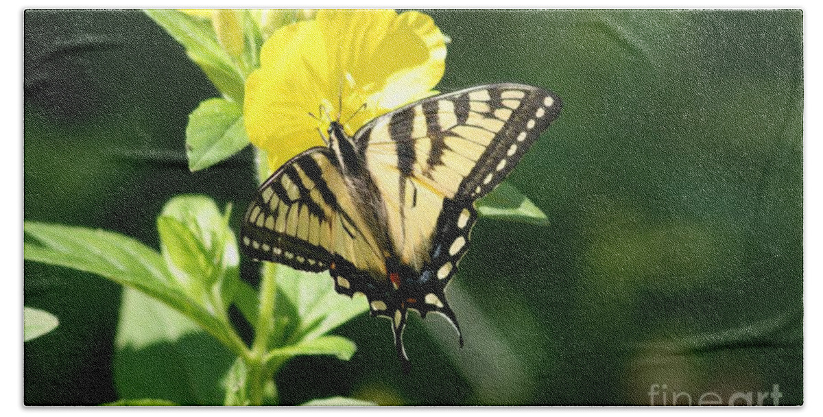 Flowers Bath Towel featuring the photograph Fluted Swallowtail 2 by Sandra Huston