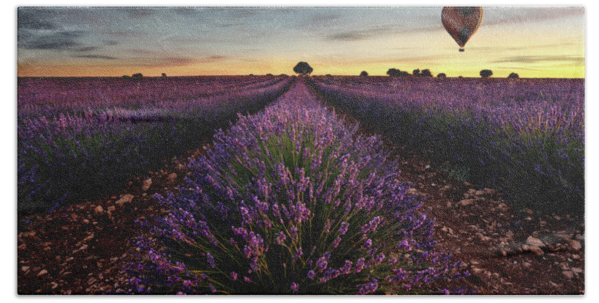 Lavender Bath Towel featuring the photograph Fly away by Jorge Maia