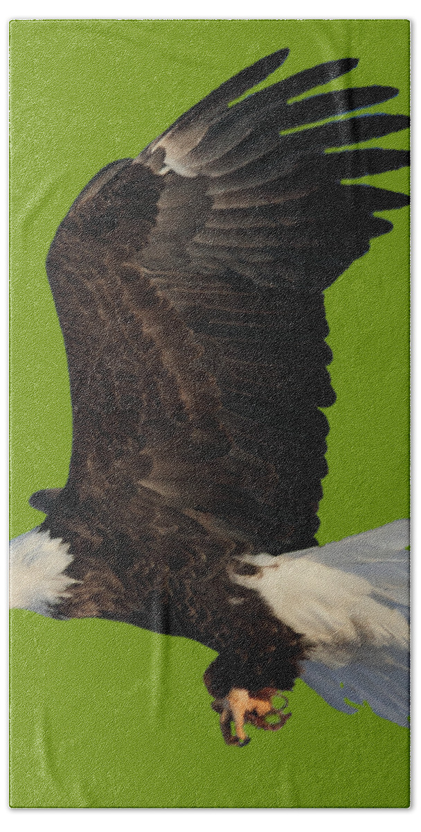 Bald Eagle Bath Towel featuring the photograph Fly By by Shane Bechler
