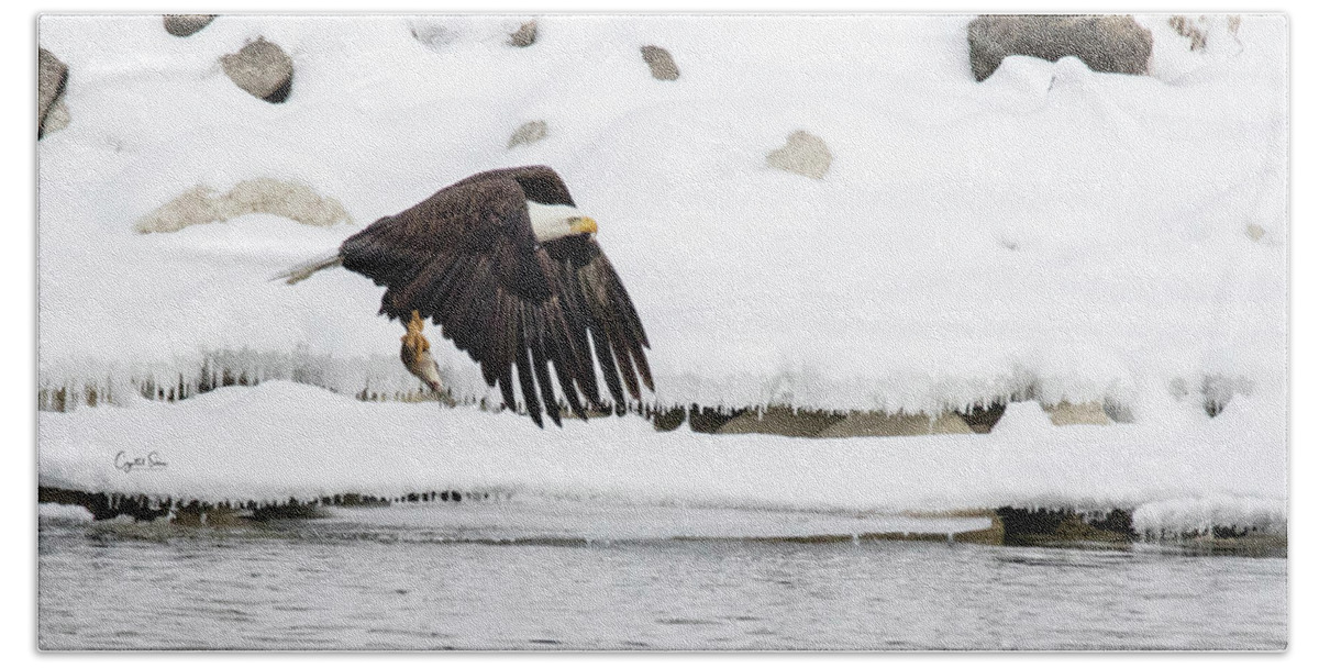 Eagle Bath Towel featuring the photograph Flying in snow by Crystal Socha