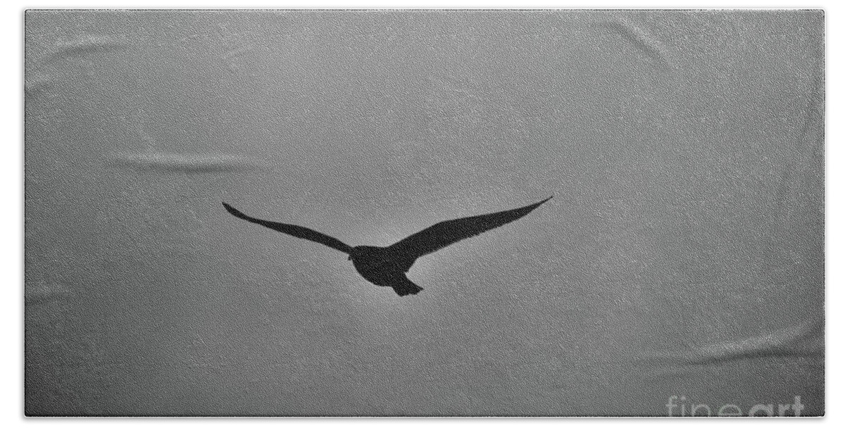 Bird Bath Towel featuring the photograph Flying Silhouette by Lori Tambakis