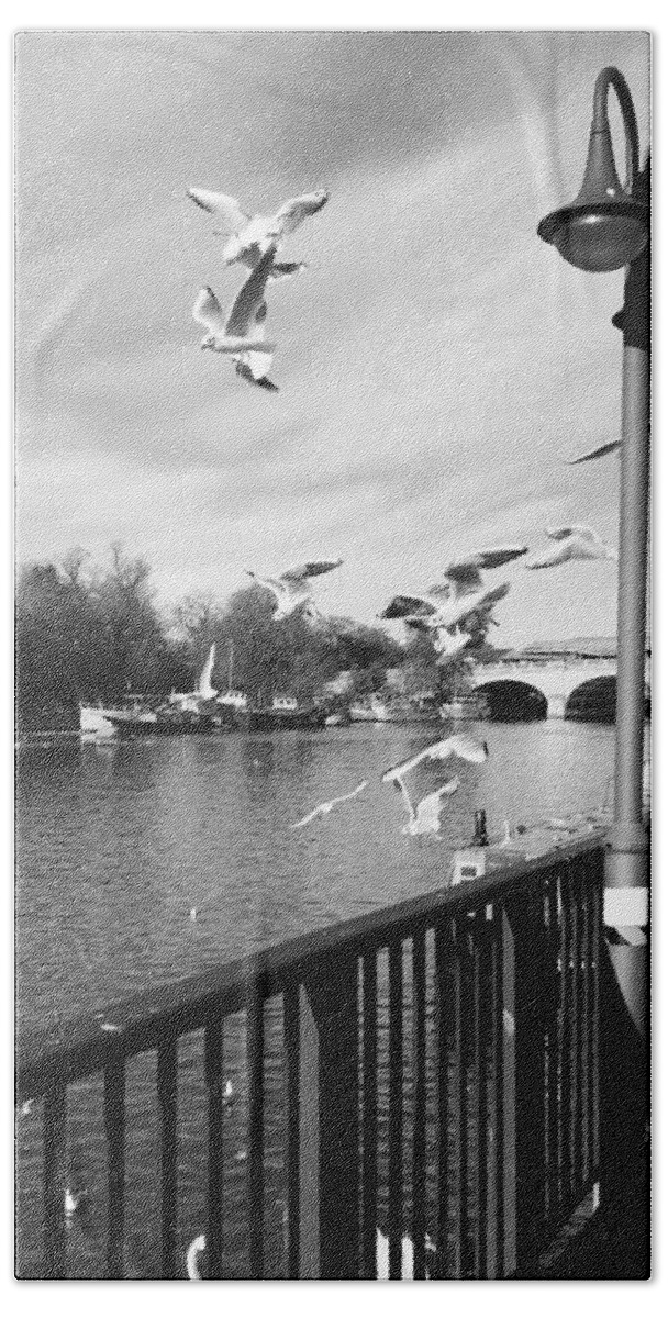 Flying Bath Sheet featuring the photograph Flying by Vera De Gernier