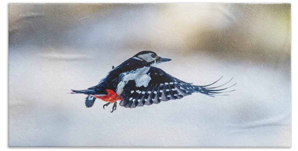 Flying Woodpecker Bath Towel featuring the photograph Flying Woodpecker by Torbjorn Swenelius