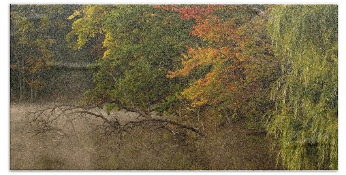 Fall Bath Towel featuring the photograph Fog Rolls into Fall by Thomas Young