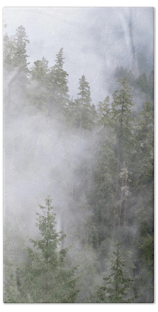 Cloudy Bath Towel featuring the photograph Foggy Forest 2 by Catherine Avilez