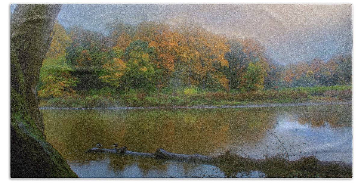 Pond Bath Towel featuring the photograph Foggy Morning by John Rivera