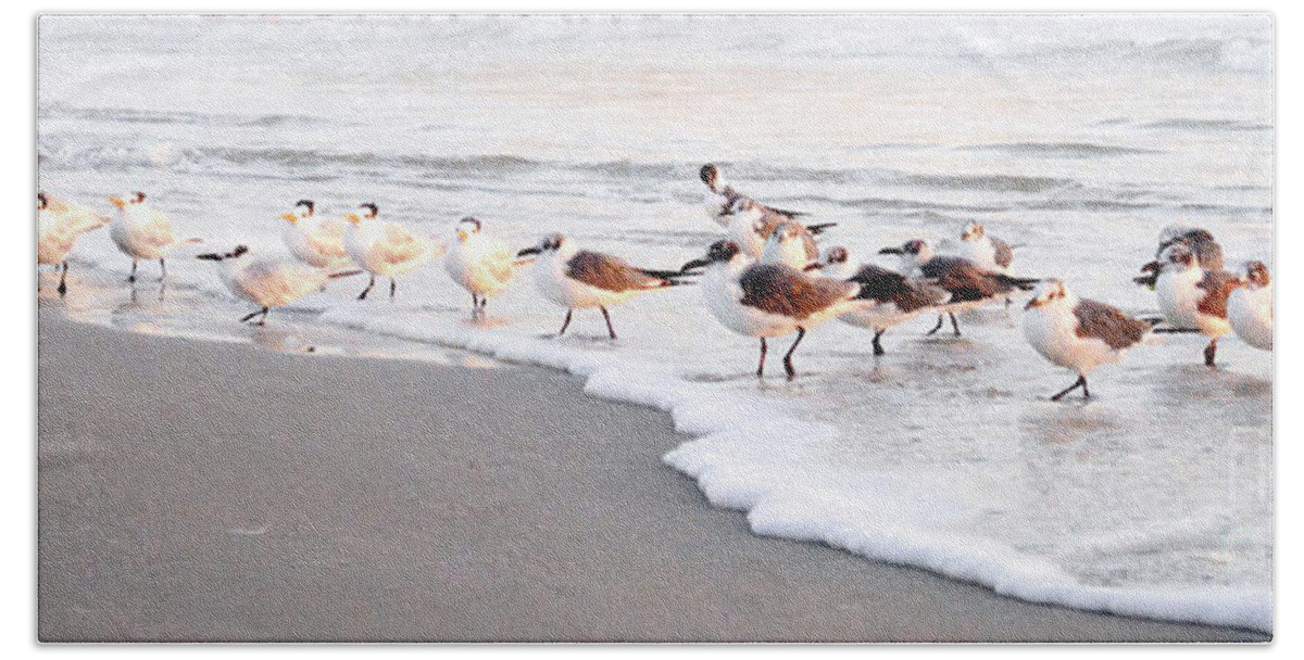 Beach Hand Towel featuring the painting Foggy morning with Terns and Gulls by Julianne Felton