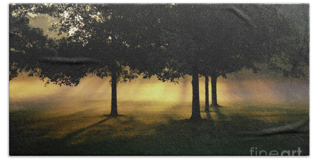Foggy Rays Of Morning Bath Towel featuring the photograph Foggy Rays of Morning by Rachel Cohen