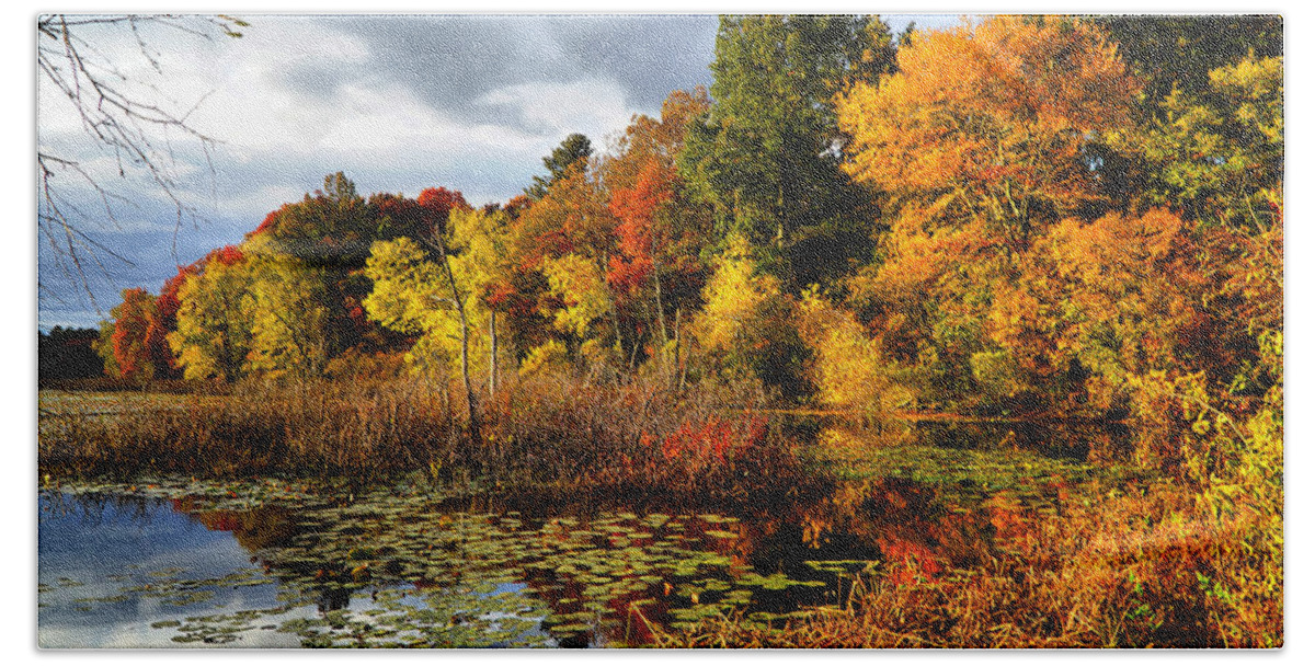 Fall Hand Towel featuring the photograph Foliage along Ipswich river by Lilia S