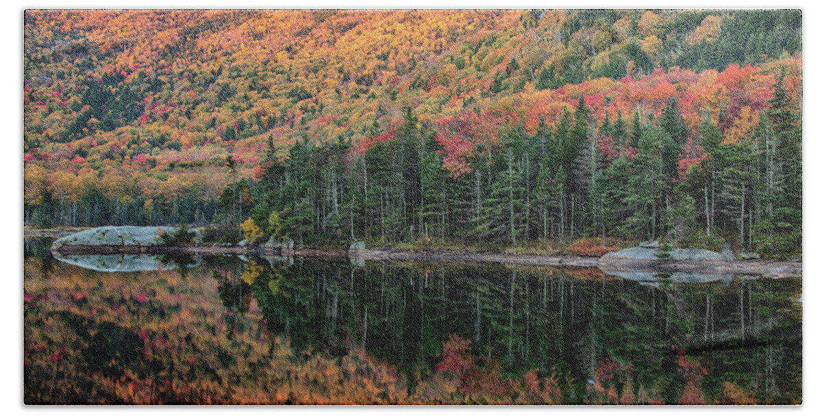 Beaver Pond Bath Towel featuring the photograph foliage at dawn on Beaver pond by Jeff Folger