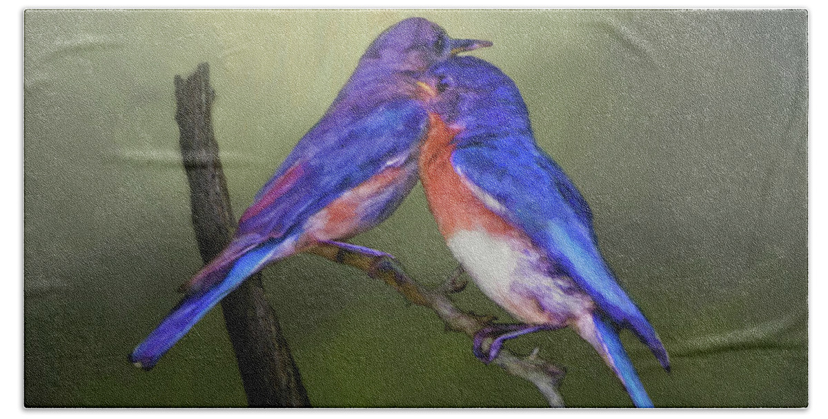 Bluebirds Bath Towel featuring the photograph For Love Of Bluebirds by Sandi OReilly