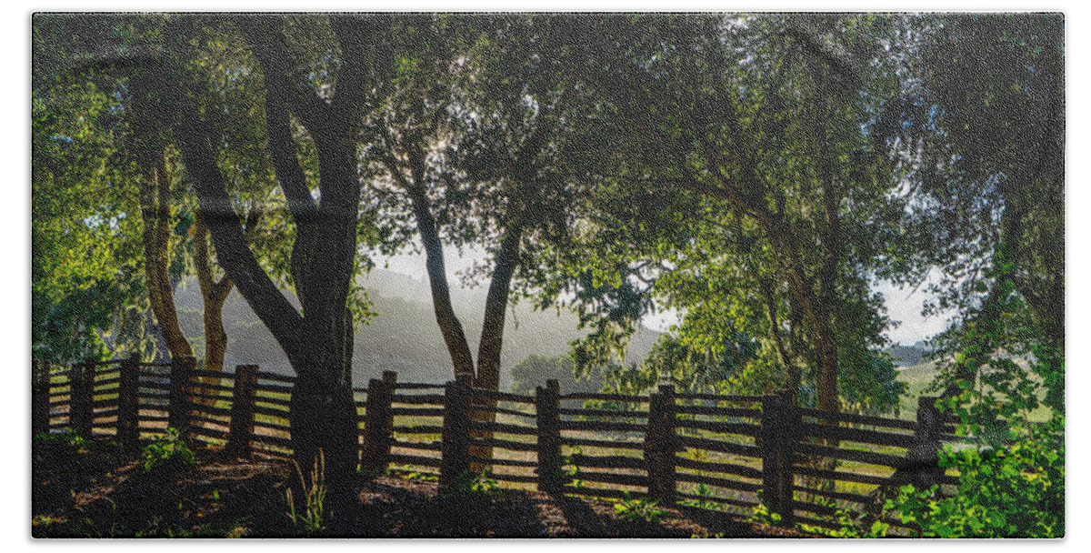 Trees Bath Towel featuring the photograph Forest Fence by Derek Dean