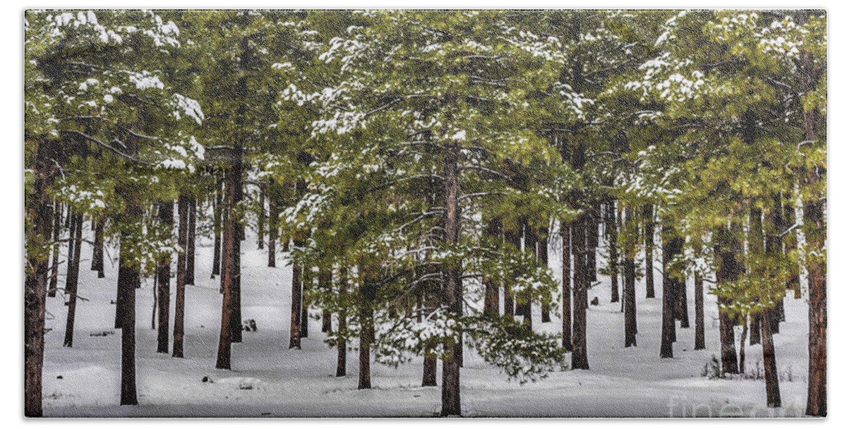 Forest Bath Towel featuring the photograph Forest snow by David Meznarich