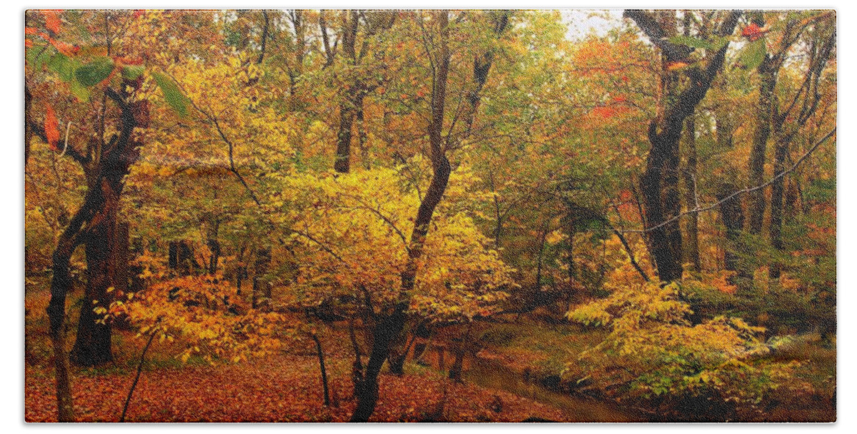 Autumn Bath Towel featuring the photograph Forest Stream - Allaire State Park by Angie Tirado