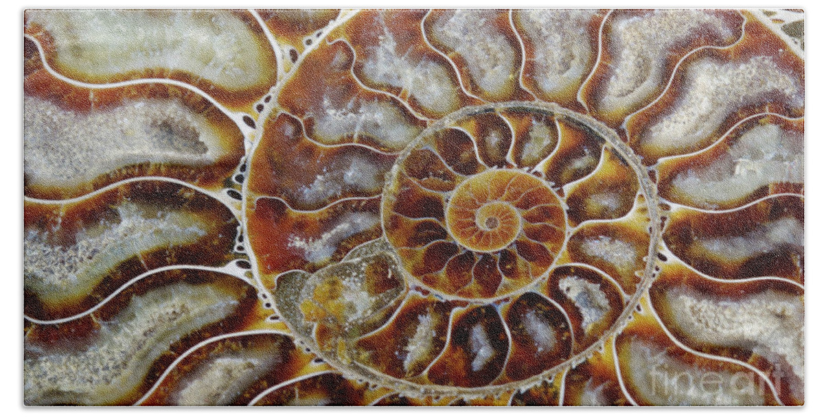 Ammonite Bath Towel featuring the photograph Fossilized Ammonite Spiral by Bruce Block