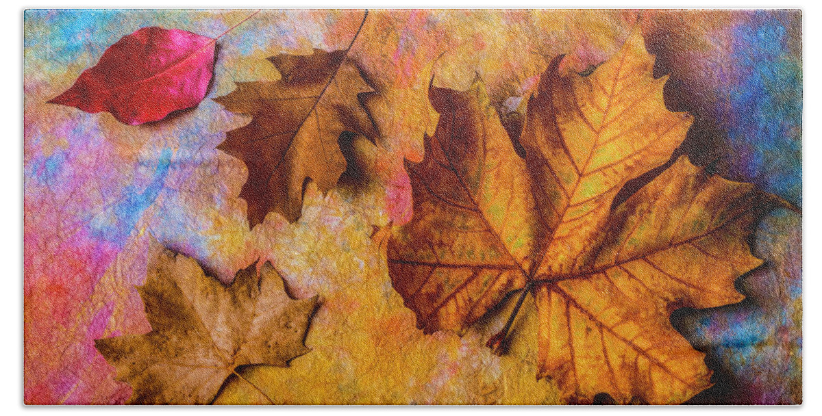 One Bath Towel featuring the photograph Four Autumn Leaves by Garry Gay