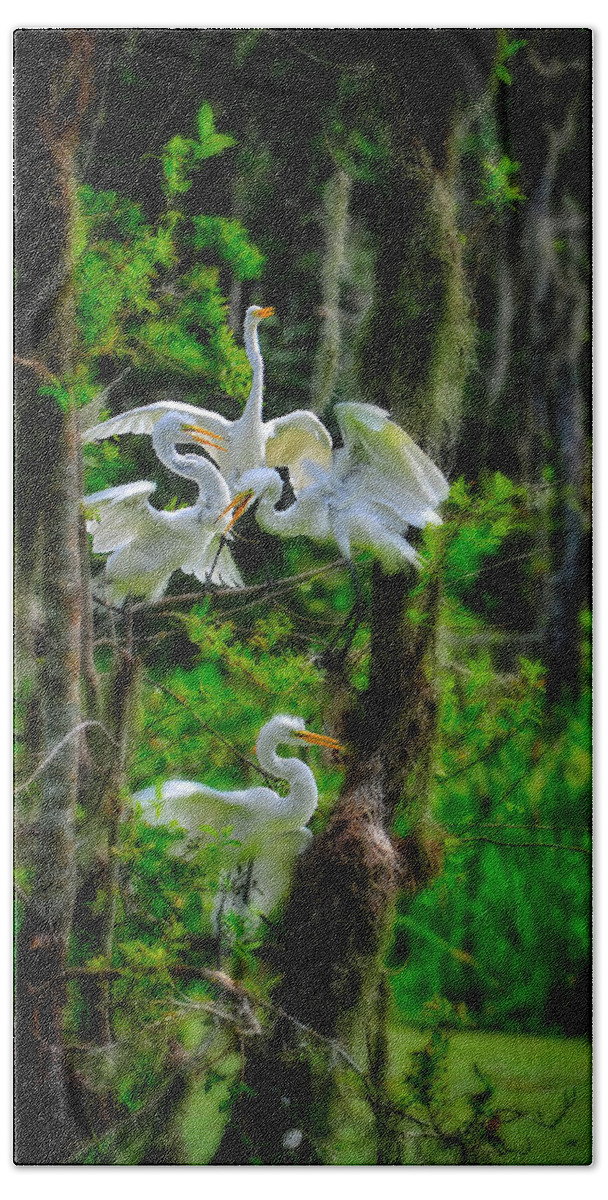 Birds Bath Towel featuring the photograph Four Egrets in Tree by Harry Spitz