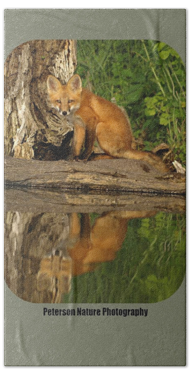 Peterson Nature Photography Nature Red Fox Foxes Kit Kits Puppy Puppies Pups Baby Animals Animal Babies Minnesota Mn Summer Adorable Cute Cutie Cuties Wildlife Dog Dogs Canine Canines Wild Foxy Fur Hunting Hunters Trapping Trappers Gift Gifts Orange Predator Predators Portrait Carnivore Furry Close-up Beauty Beautiful Creature Creatures Furbearer Young Mammal Mammals Natural Hunter Little Habitat Digital Rural Vertical Environment Juvenile Reflection Reflections Kayaking Kayak Lake Hanson Lakes Bath Towel featuring the photograph Fox Reflection Shirt by James Peterson