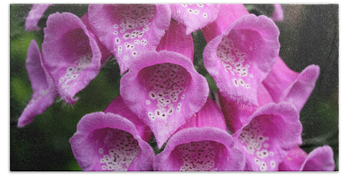Flowers Bath Towel featuring the photograph Foxglove by Edward R Wisell