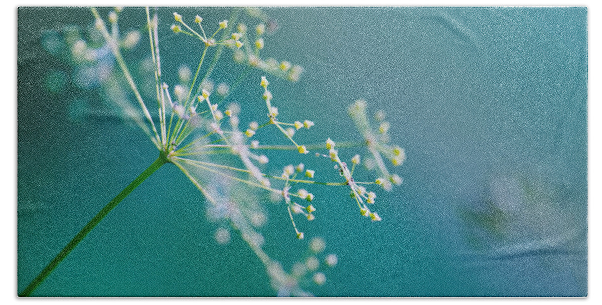 Dill Hand Towel featuring the photograph Fragile Dill Umbels by Nailia Schwarz