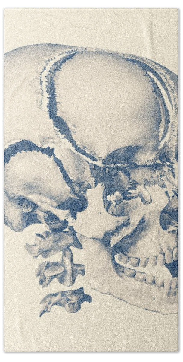 Skull Bath Towel featuring the drawing Fragmented Human Skull - Vintage Anatomy Print by Vintage Anatomy Prints