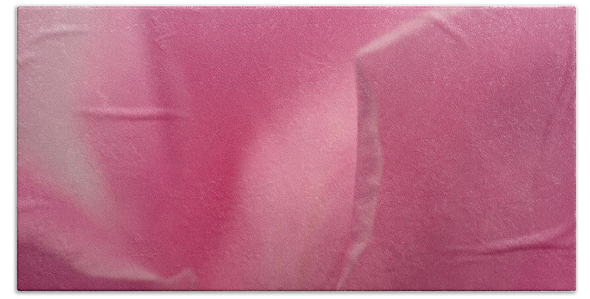  Bath Towel featuring the photograph Frail Pink Rose by The Art Of Marilyn Ridoutt-Greene